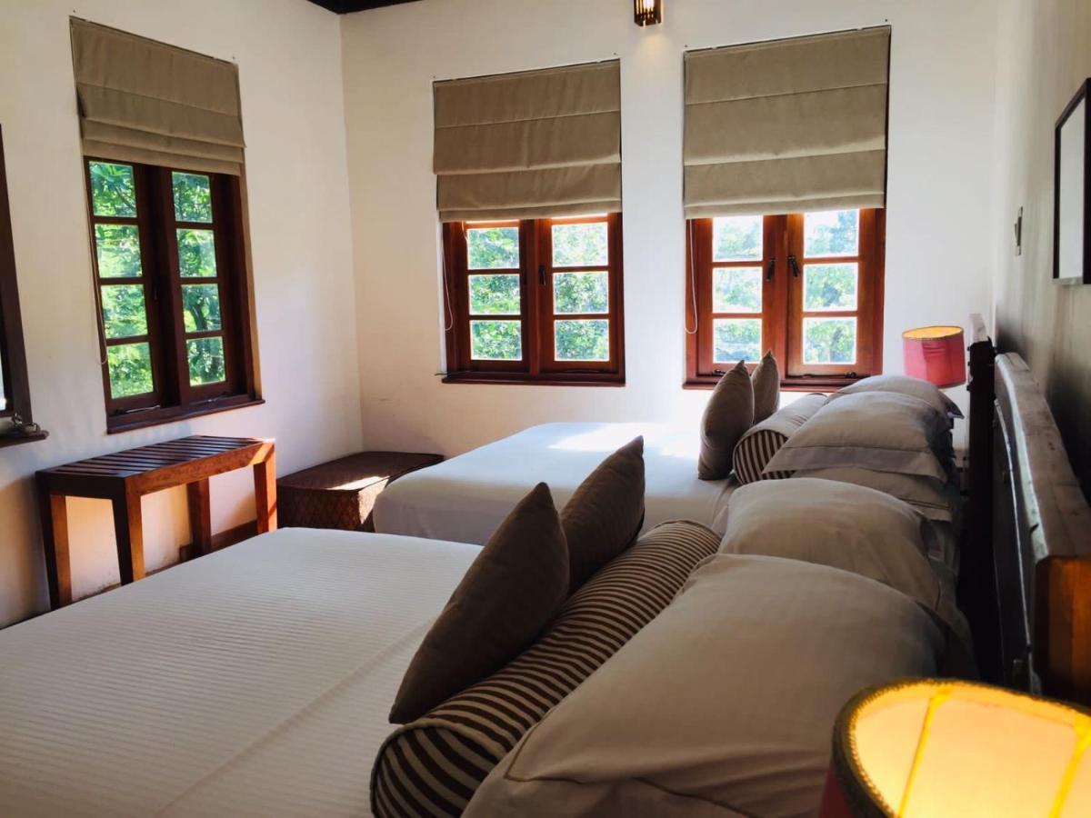 Tea Cottage Resort & Spa Nawalapitiya Exterior photo