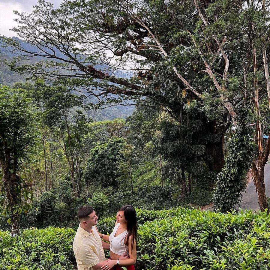Tea Cottage Resort & Spa Nawalapitiya Exterior photo